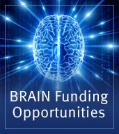 BRAIN Funding Opportunities (badge)