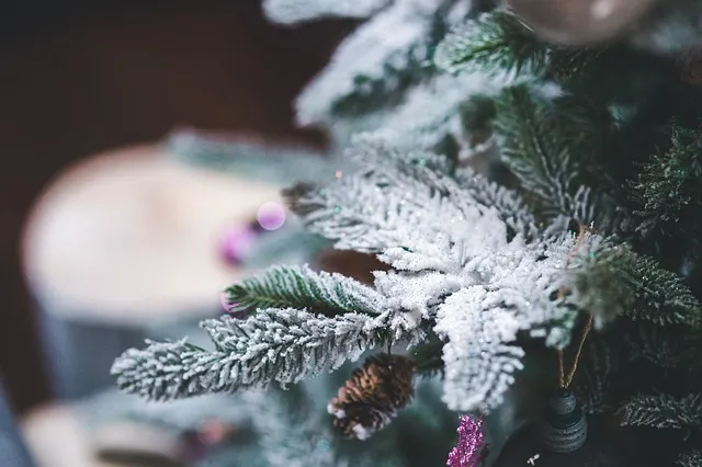 snow-791134_640
