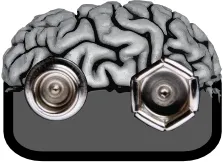 9voltbrain