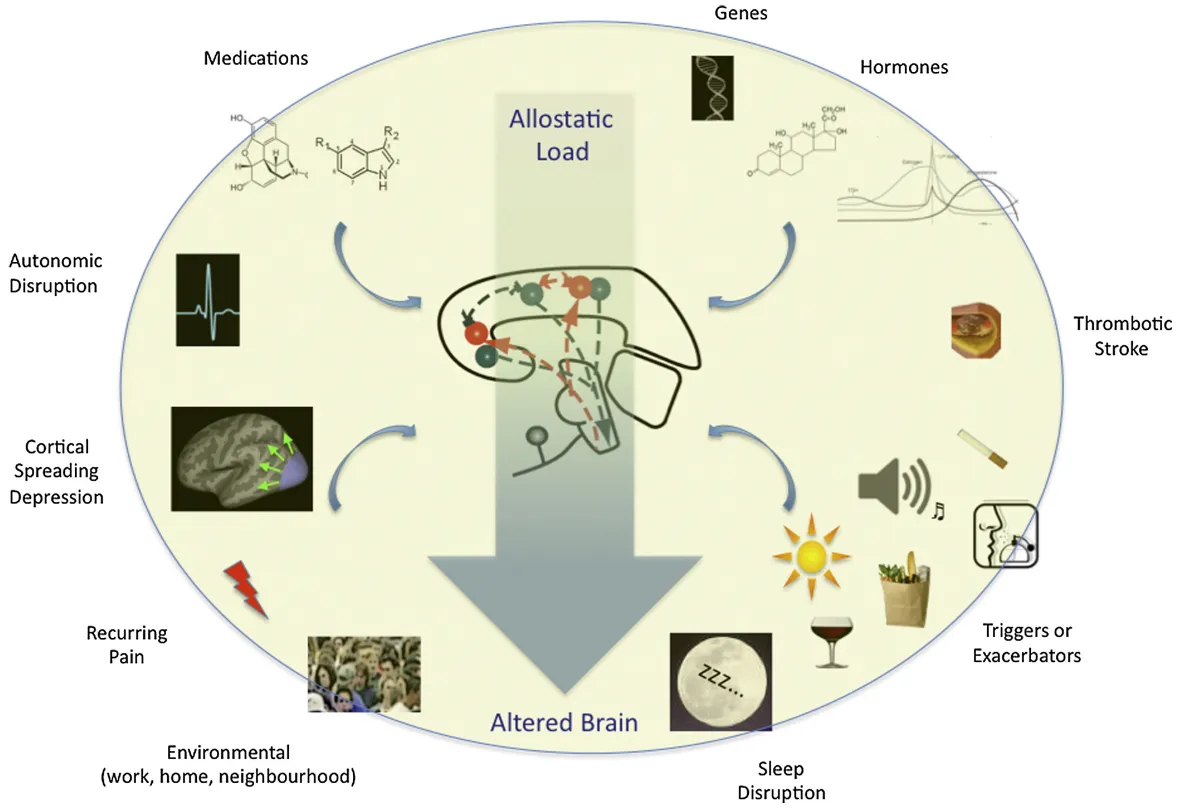 allostaticLoad