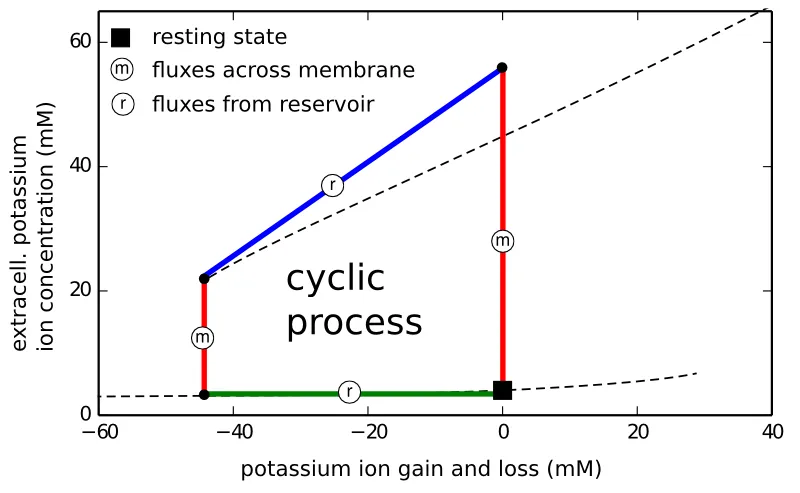 neuronSteamEngineCycle