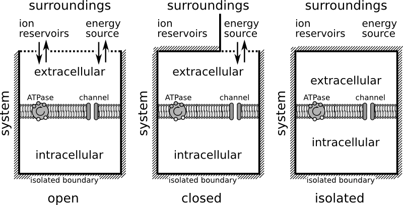 system