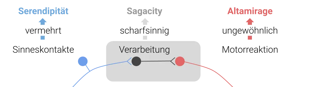 Diagramm: Serendipität (afferent, blau), Sagacity (Verarbeitung, grau) und Altamirage (efferent, rot) als drei Stationen im Nervensystem.